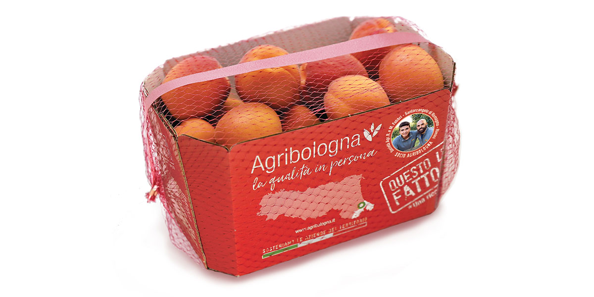 Agribologna, al via la nuova campagna media 